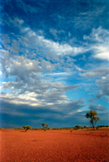 OB148 Along The Plenty Highway, Northern Territory